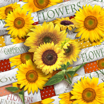 Servetten, 3-laags 1/4 vouw 33 cm x 33 cm "Sunflower Field"