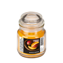 "Flavour by GALA" Snoeppot met waxvulling Ø 63 mm · 85 mm perzik - Mango-Papaya