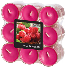 Geurkaars "Flavour by GALA" Ø 38 mm · 24 mm wijnrood - Wild Raspberry in behuizing van polycarbon