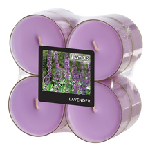 Geurtheelichten maxi "Flavour by GALA" Ø 59 mm · 24 mm violet - Lavendel in behuizing van polycarb