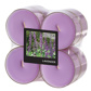 Geurtheelichten maxi "Flavour by GALA" Ø 59 mm · 24 mm violet - Lavendel in behuizing van polycarb